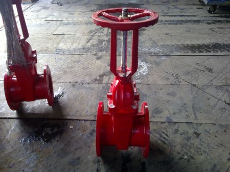 Gate Valve Rising Stem