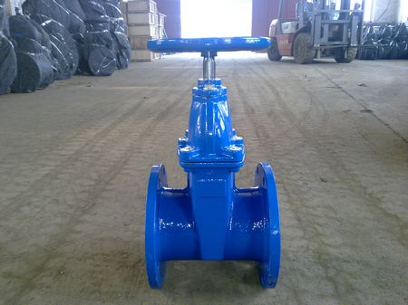 Gate Valve